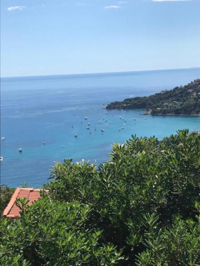 Il mare tra gli olivi